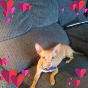 Meet your Posher, Audrey